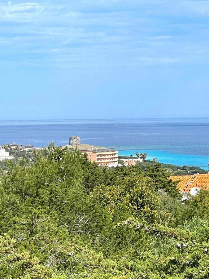 Casa Vacanze Stintino Vista Mare Экстерьер фото